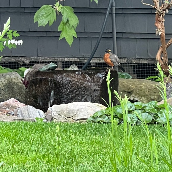 Meet your Posher, James - Picture 1 of 1